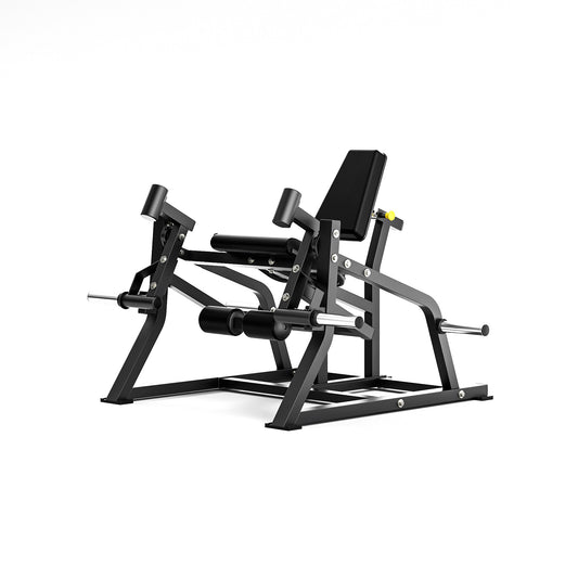 Leg Extension FB790