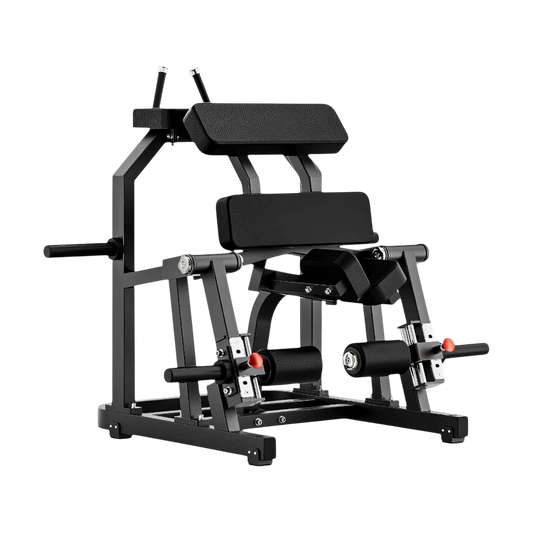 FP791 Leg Curl