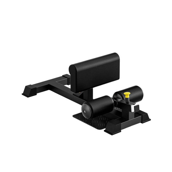 FT2750 Sissy Squat Bench