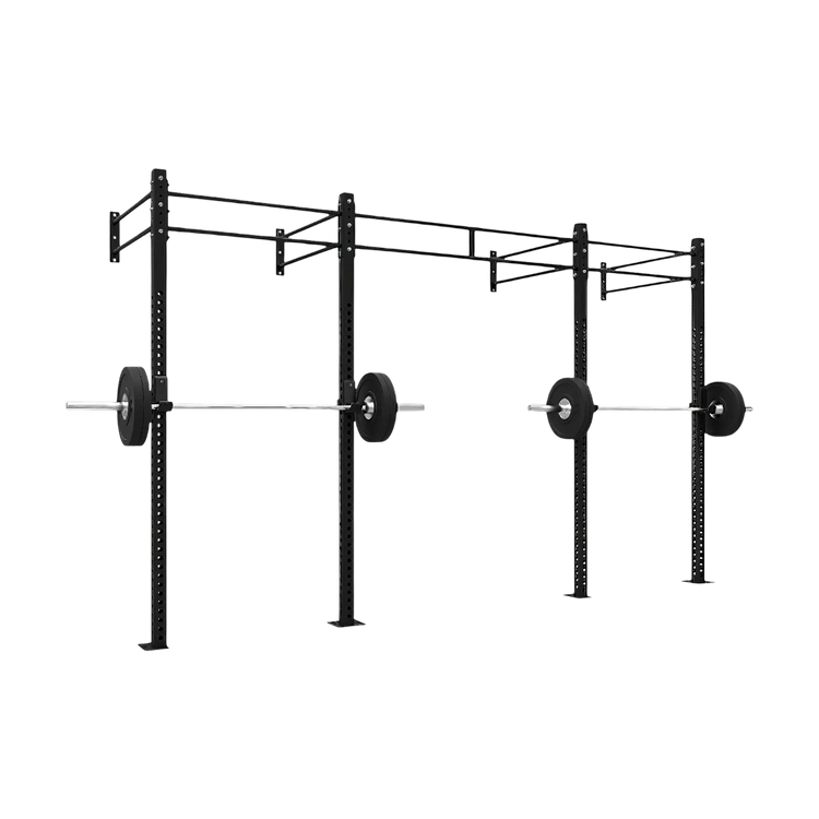 FTSW21 Wall-Mounted Rig