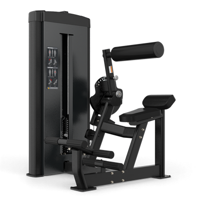 PS2650 Ab / Back Extension