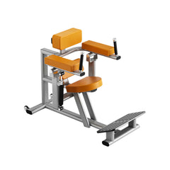 TR800 Ab / Back Extension