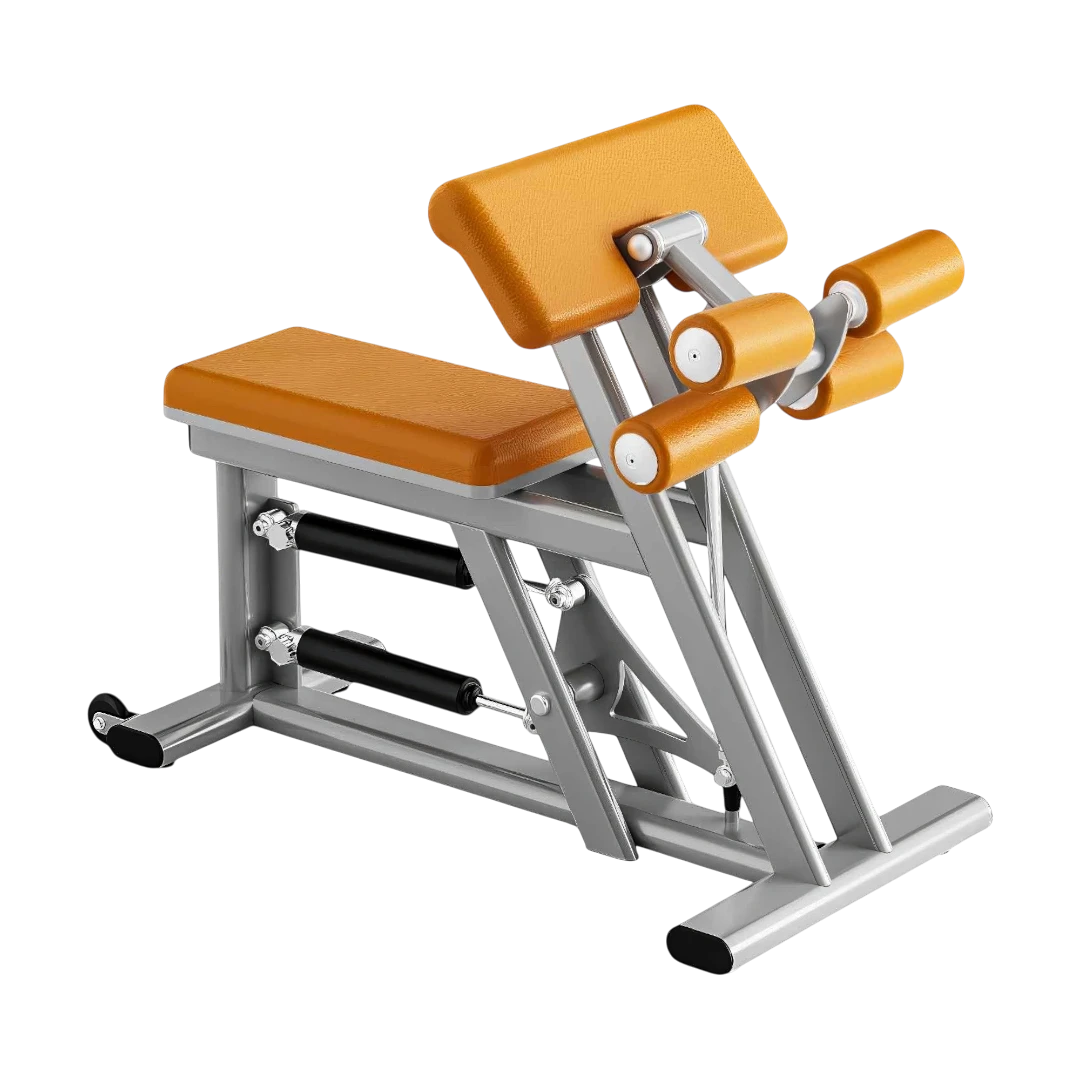 TR801 Biceps / Triceps