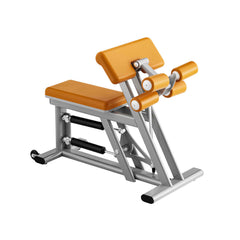 TR801 Biceps / Triceps
